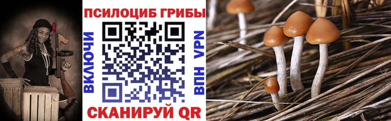 дарнет шоп Тетюши Галлюциногенные грибы Psilocybe